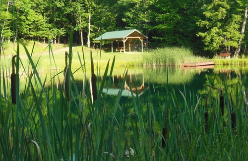 Wellsville Cabin | Rustic cabin, solarpower, heated, hiking, 3ponds,wildlife, dark skies/stargazing