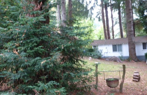Clatskanie Cabin | Rustic forest cabin - perfect for solo travelers who cherish privacy and quiet.