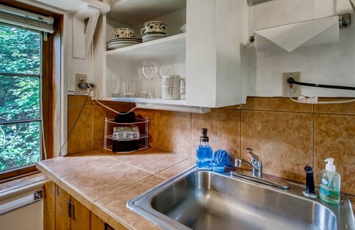 Idaho Springs Cabin | Rustic Funk Waterfront Pet Friendly Cabin