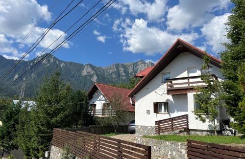 Busteni House | Rustic House Busteni