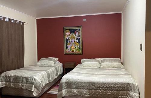 Valdivia Apartment | ruta de valdivia cabañas
