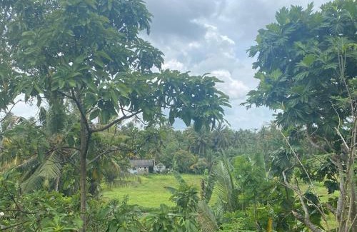 Ahangama Hotel | Ruwan Villa Ahangama