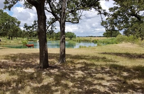 Giddings House | RV space- concrete pad