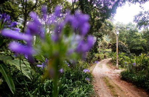 Joanopolis House | Sítio Bela Vista: natureza, paz e aconchego.