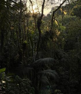 Tapirai House | Sítio Paraíso