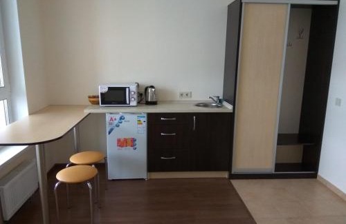 Pozniaky Apartment | S&M Apartments - Zarichna
