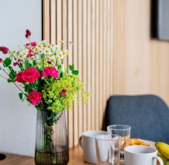 Nordstadt Apartment | S17 Bude 30 Studio