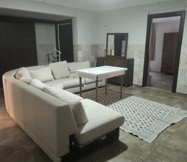Side Apartment | Safari Suit N-17 big apart