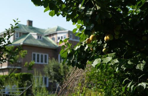 Srinagar House | SaffronStays Awakening Deluxe Rooms