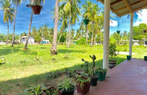 Nilaveli Hotel | Sai Seashell Rest Inn Nilaveli