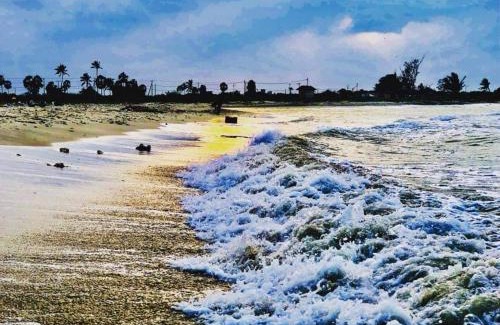Nilaveli Hotel | Sai Seashell Rest Inn Nilaveli