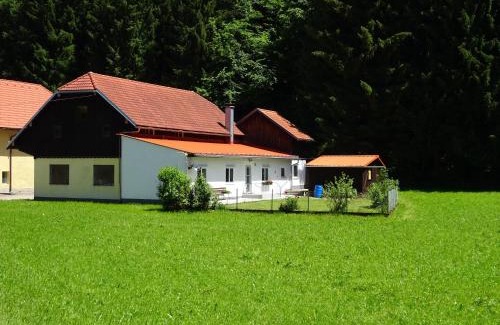 Pinsdorf House | Salzkammergut Homes Gmunden - Haus im Grünen, Ruhe, großer eingezäunter Garten - ideal für Familien und Hunde