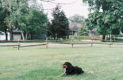 Picton House | Sandbanks Escape (5 min drive) on Sheba’s Island | Pet-Friendly Cottage