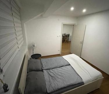 Vrsac Apartment | Sandra apartmani 4