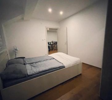 Vrsac Apartment | Sandra apartmani 4