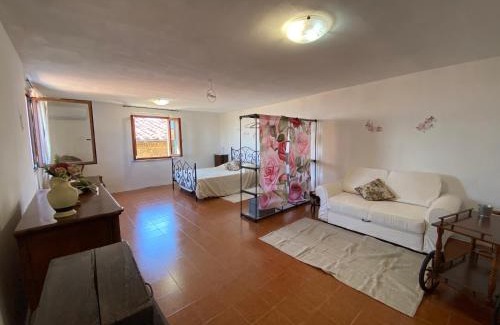 Terricciola Apartment | Sangiovese & Ciliegiolo