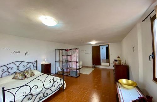 Terricciola Apartment | Sangiovese & Ciliegiolo