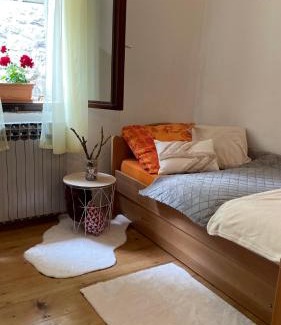 Breze Ski Chalet | SanMari forest
