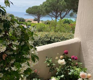 Santa Giulia Apartment | Santa Giulia - Le village de L'hacienda