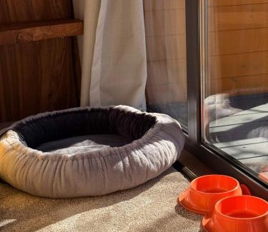 Medeu District Hotel | SarySai