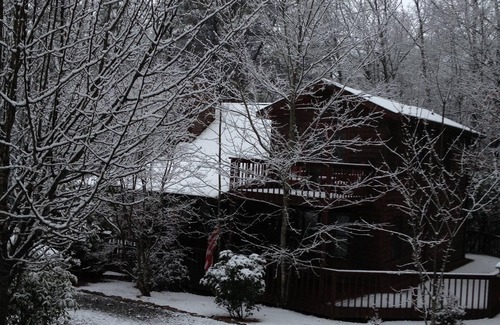 Sautee Nacoochee Cabin | "SAUTEE WOODS" COZY GETAWAY without breaking the bank ! NOW WITH EV CHARGING !