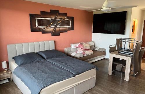 Wuerzburg Apartment | schönes Apartment mit Festungsblick - FREE Parking -