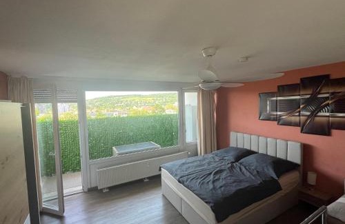 Wuerzburg Apartment | schönes Apartment mit Festungsblick - FREE Parking -