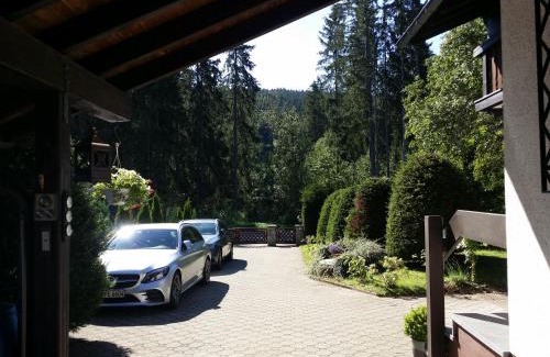 Titisee-Neustadt Apartment | Schwarzwald - Villa Appartments Titisee