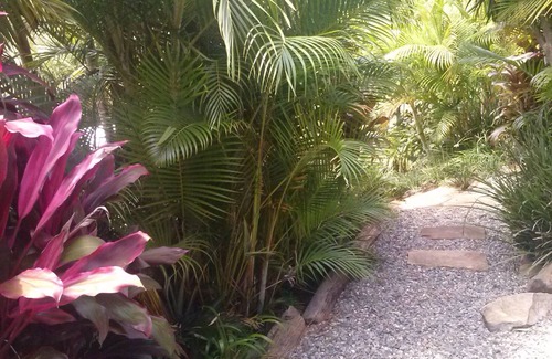 Way Way House | Scotts Head Retreat - Secluded Property