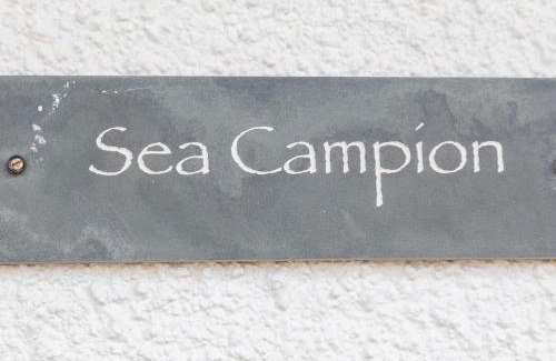 Burgh Island Apartment | Sea Campion