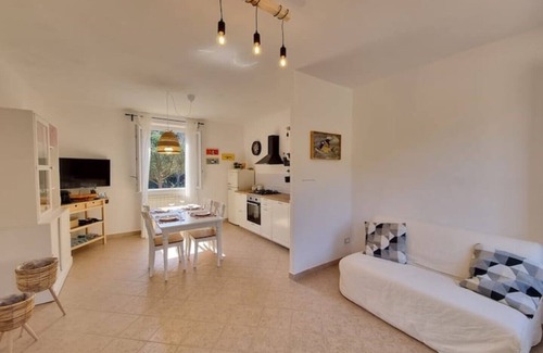 Quercianella Apartment | Sea ​& Olive trees