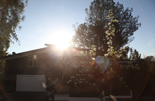 Bel Air House | Seabury Sunrise in the Heart of Bel Air's Beverly Glen Canyon