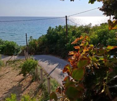 Nea Propontida Apartment | Seafront Lux Apartment