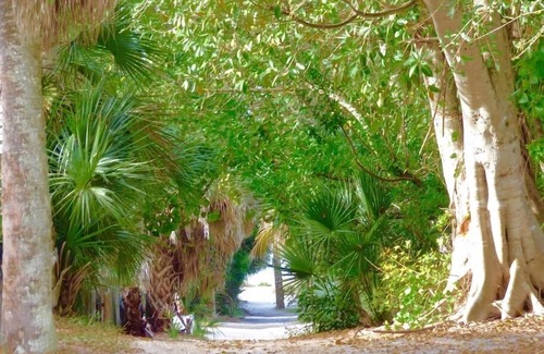 Placida House | Seahorse Hideaway: Cute and cozy, perfect location close to dock and beach!