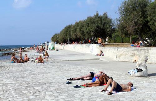 Novigrad House | Seaside holiday house Novigrad - 18162