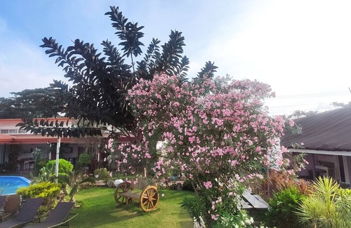 Dumaguete Resort | Seaview Beach Resort