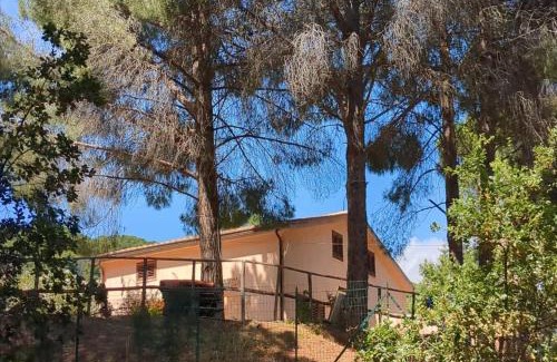 Cefalu Villa | Seawoods - Nature Experience