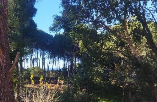 Cefalu Villa | Seawoods - Nature Experience