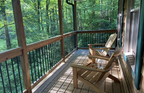 Sylva Cabin | Secluded Cabin near Great Smoky Mts, Game room
