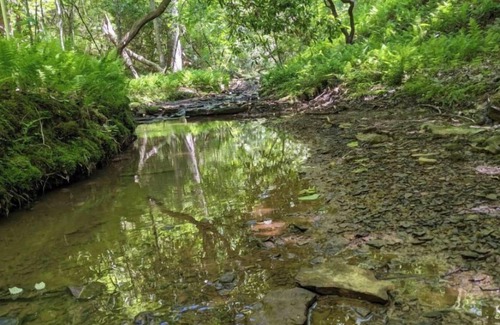 Spring City RV Rental | Secluded Campground perfect for Adventurous Travelers