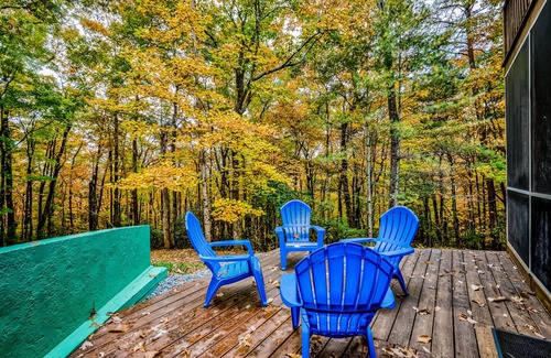 Ellijay Cabin | Secluded dog-friendly cabin w/grill, deck, forest & mountain views, 4x4 required