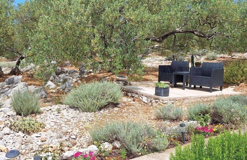 Tkon House | Secluded fisherman's cottage Cove Druce, Pašman (K-23356)