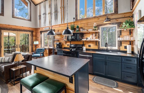 Harbor Springs Cabin | Secluded Log Cabin w/Sauna, Near Skiing & Golf