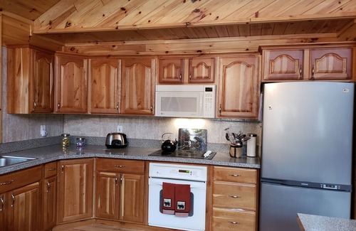 Gaylord Cabin | Secluded Log Home Getaway in Gaylord with Private Lake Access