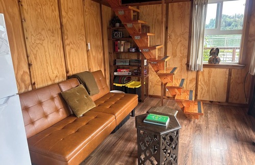 Lakeside Cabin | Secluded mini lakefront Cabin on North Tenmile Lake - Boat in only.