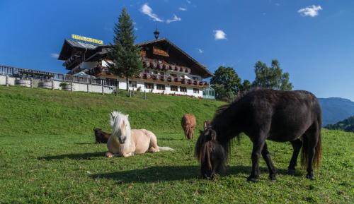 Schladming Hotel | Seiterhof