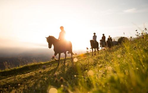 Schladming Hotel | Seiterhof