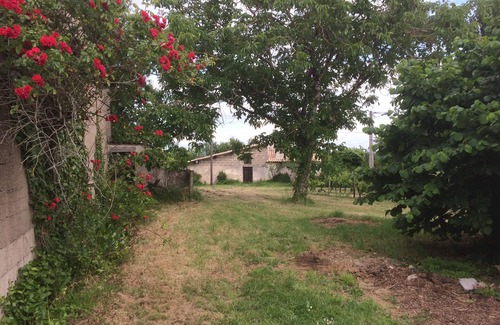Savignac-de-l'Isle Cottage | Self-catering cottage on the outskirts of SAINT EMILION