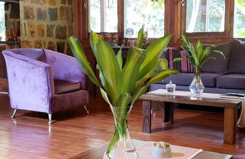 Puerto Iguazu Hotel | Selva de Laurel