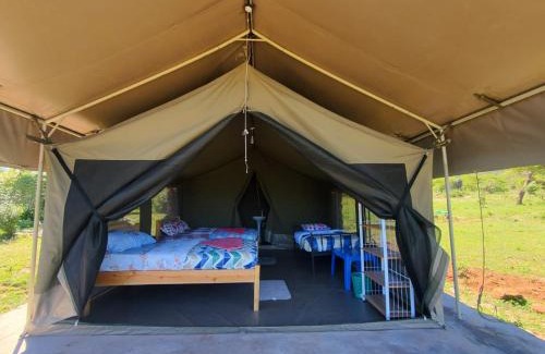 Maasai Mara Bed & Breakfast | Semadep bush camp
